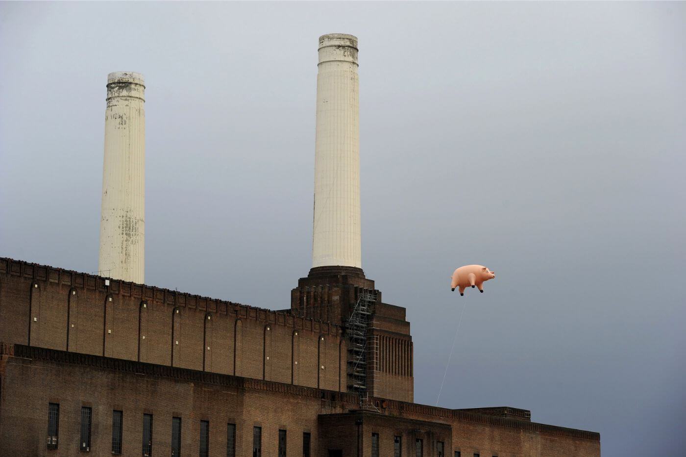 art pink floyd pig 0036