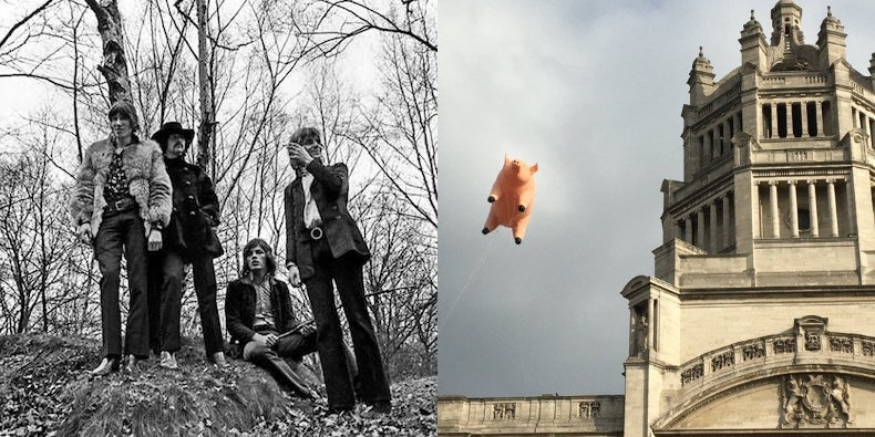 art pink floyd pig 0049
