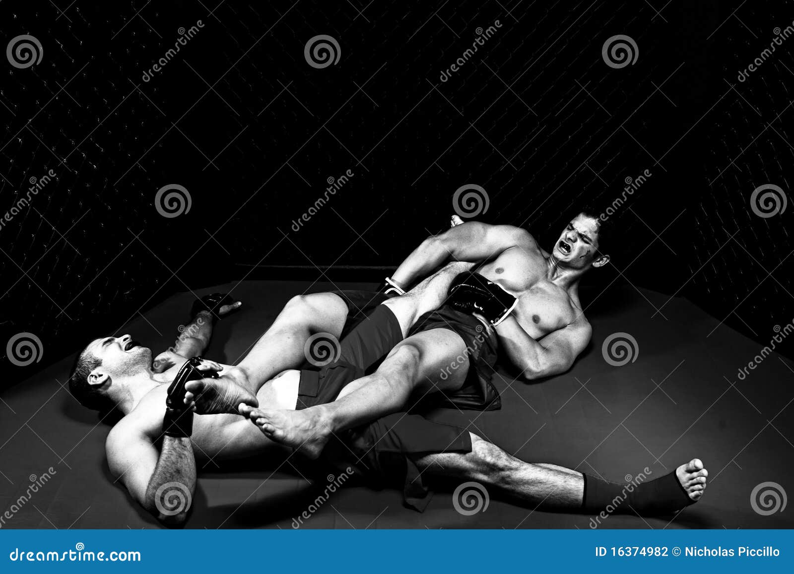 artistic boxing photography 0048