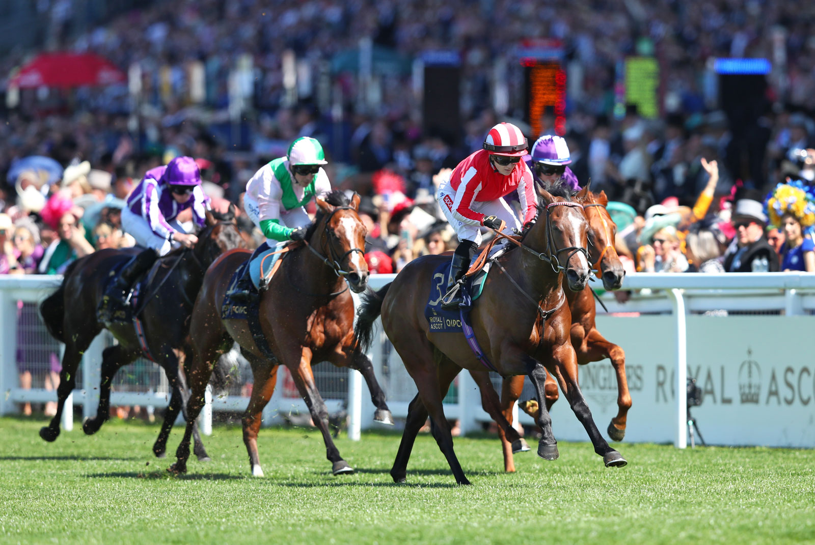 ascot image 0010