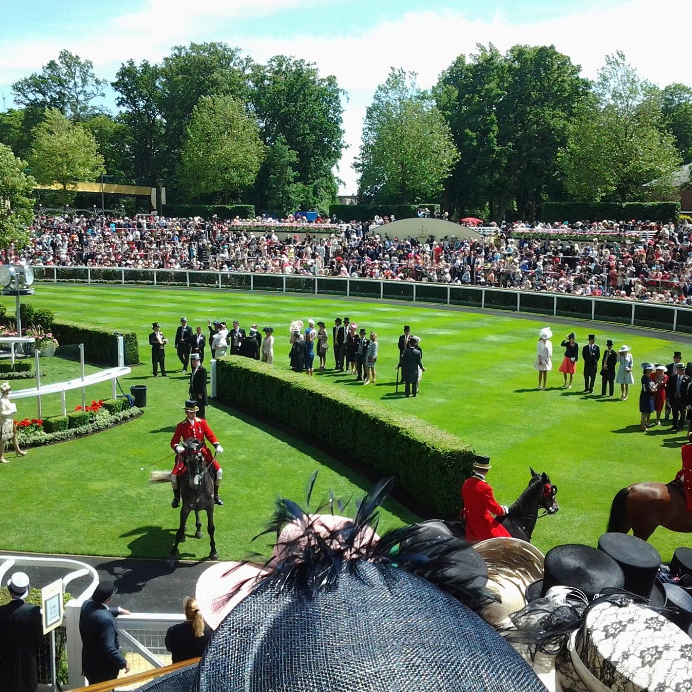 ascot image 0016
