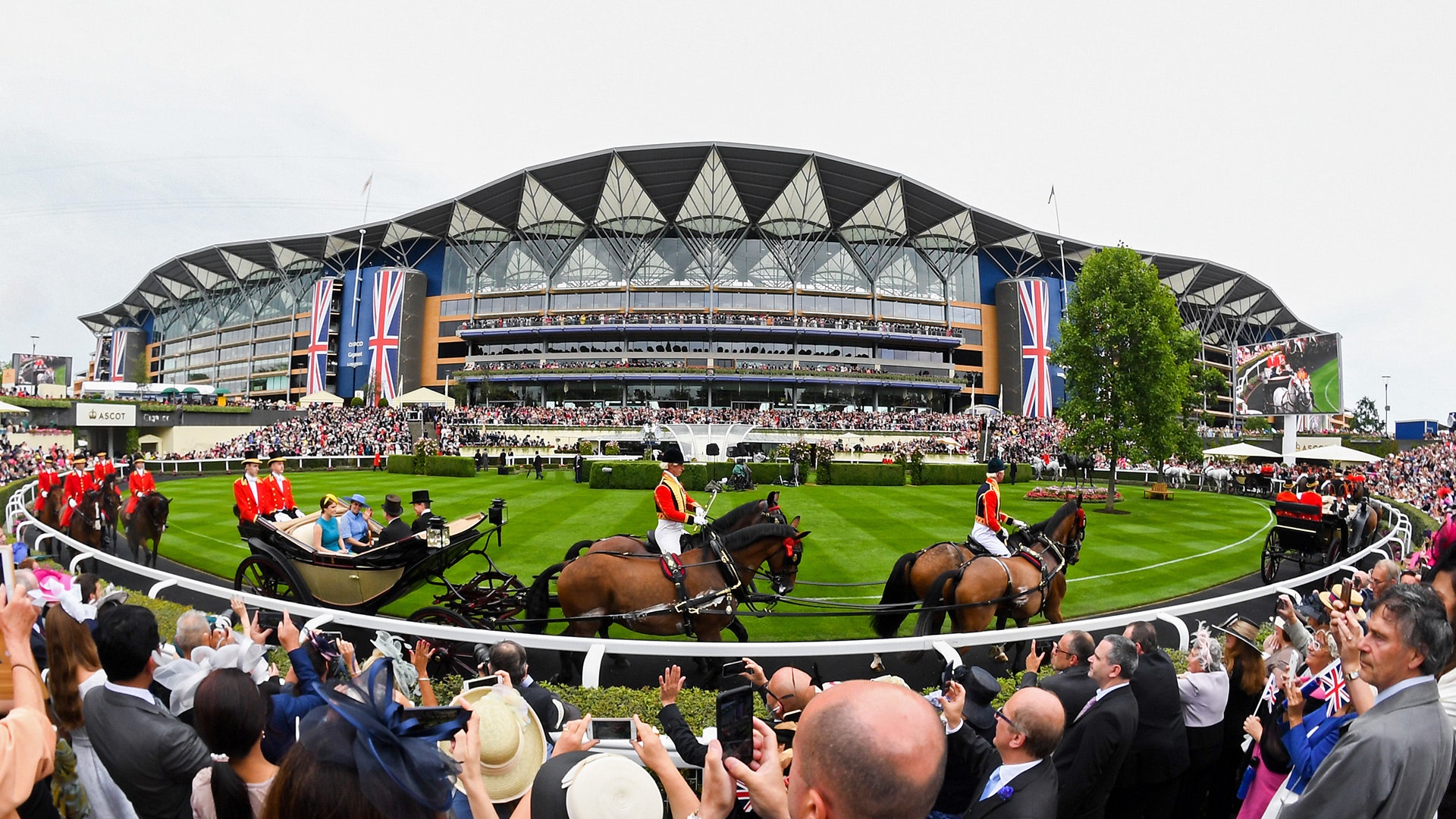 ascot image 0022