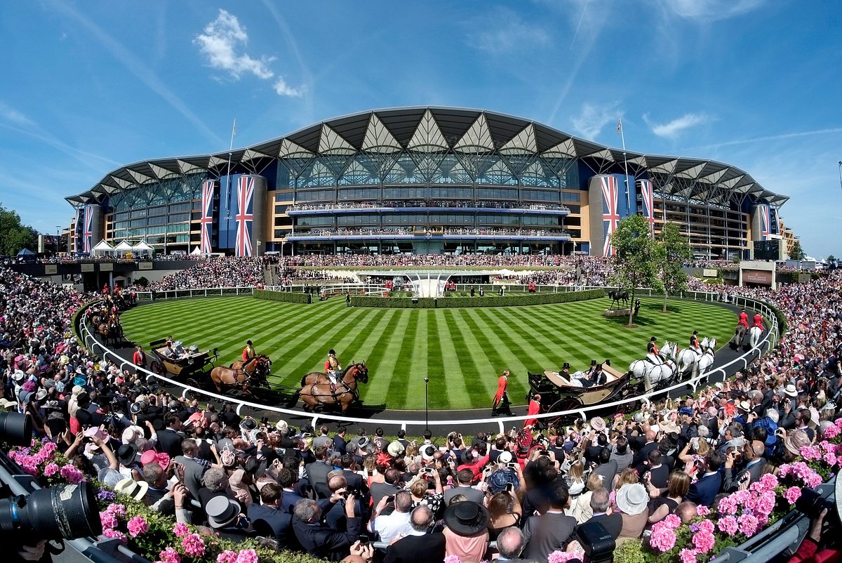 ascot image 0029
