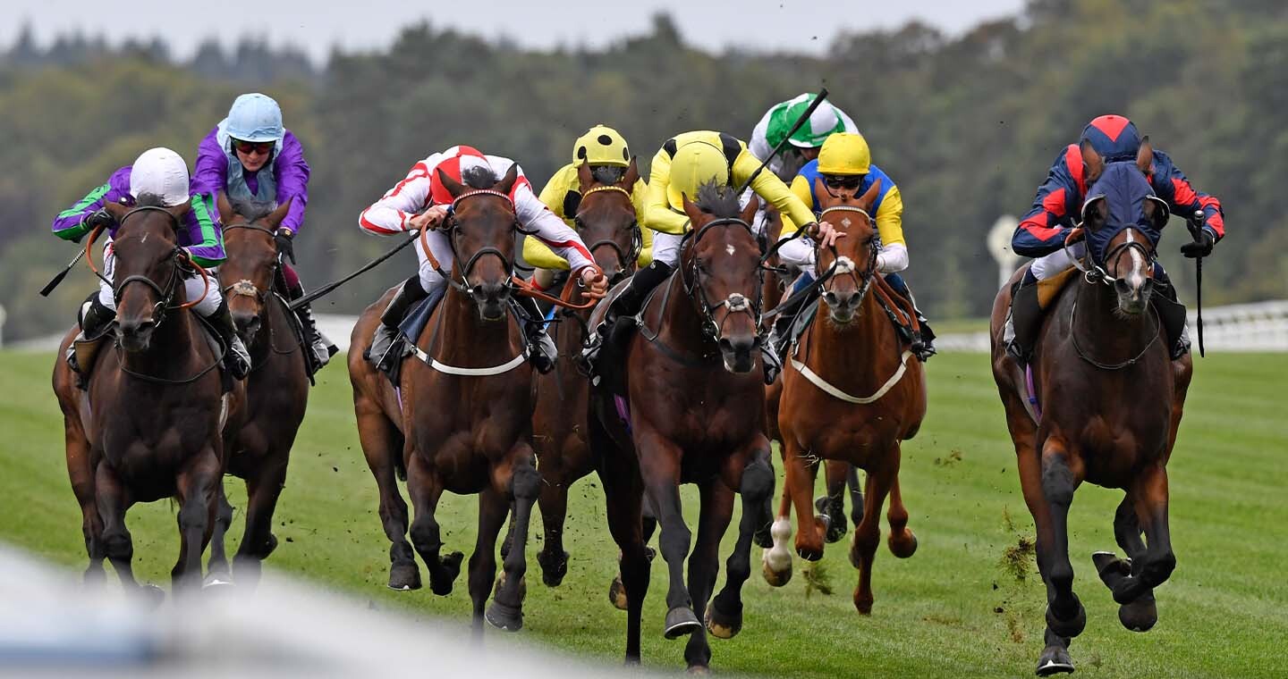 ascot image 0038