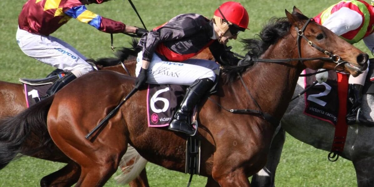 ascot image 0040