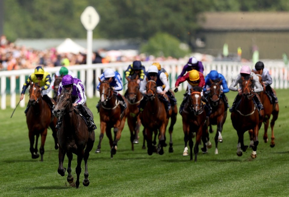 ascot image 0046