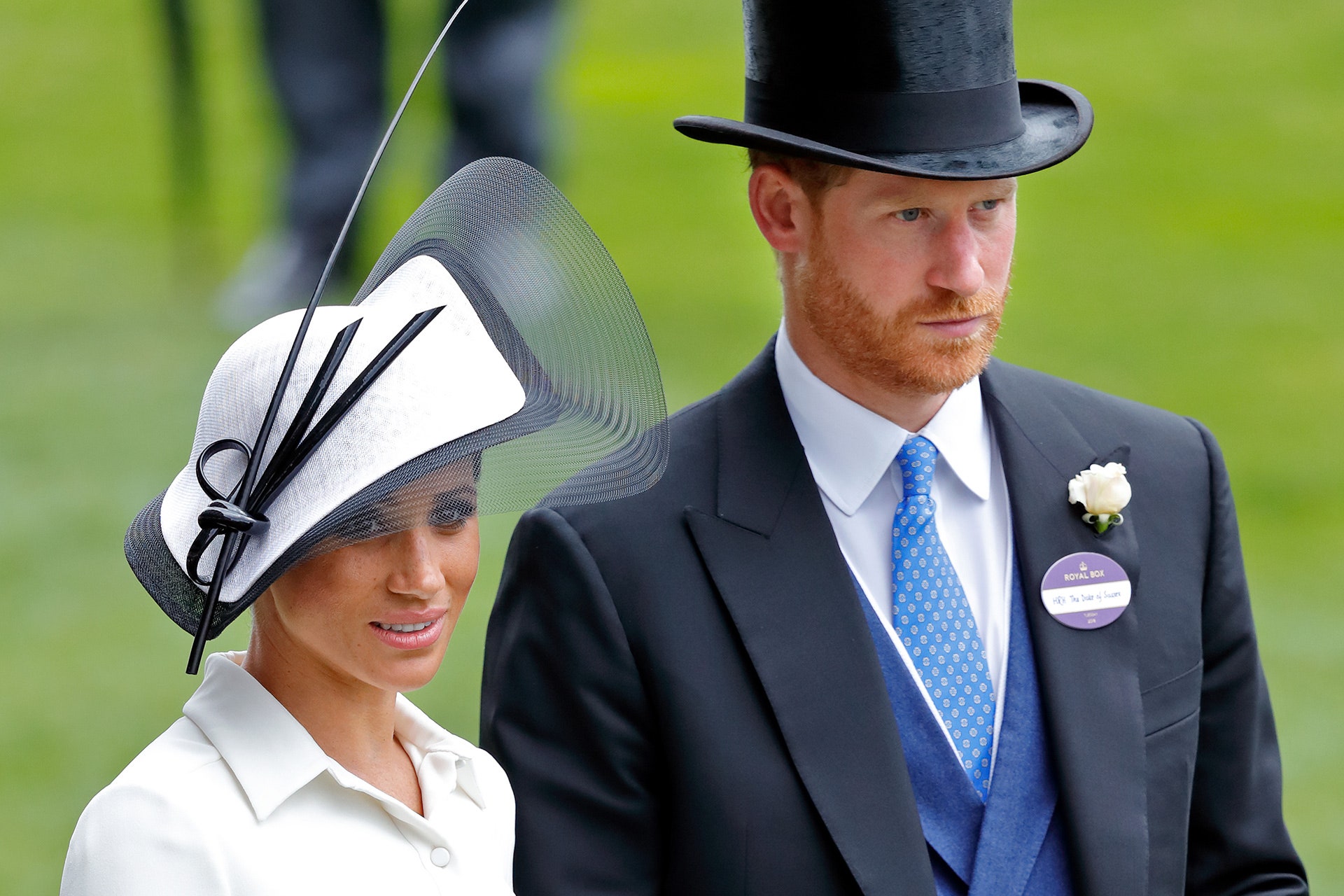 ascot image 0047