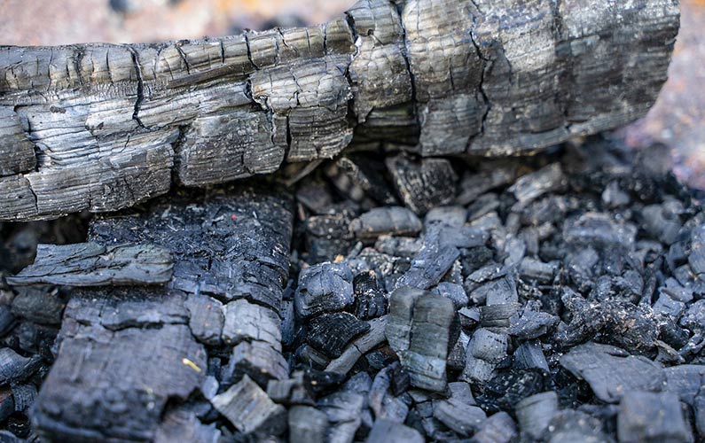 ashes image 0011
