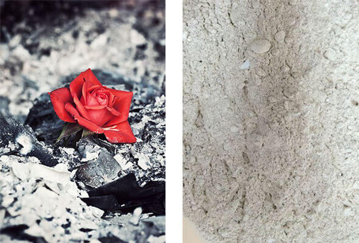 ashes image 0013
