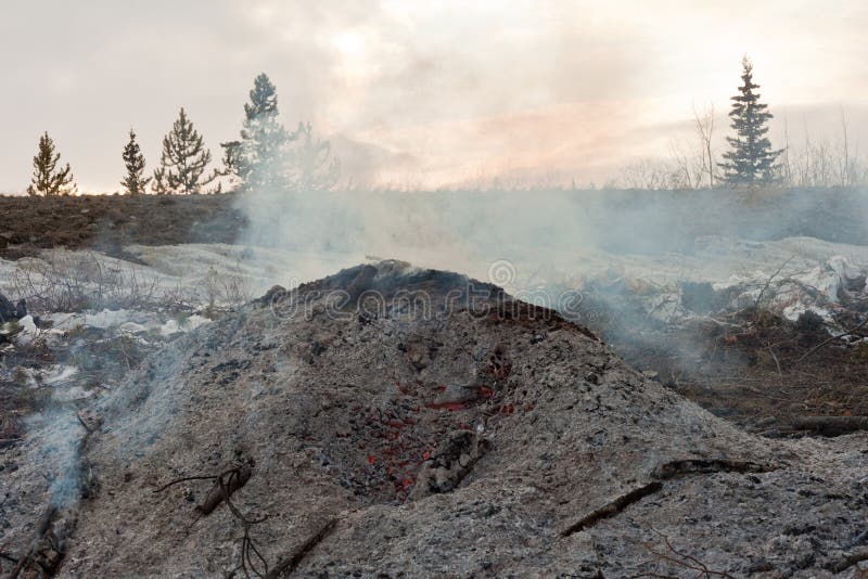ashes image 0022