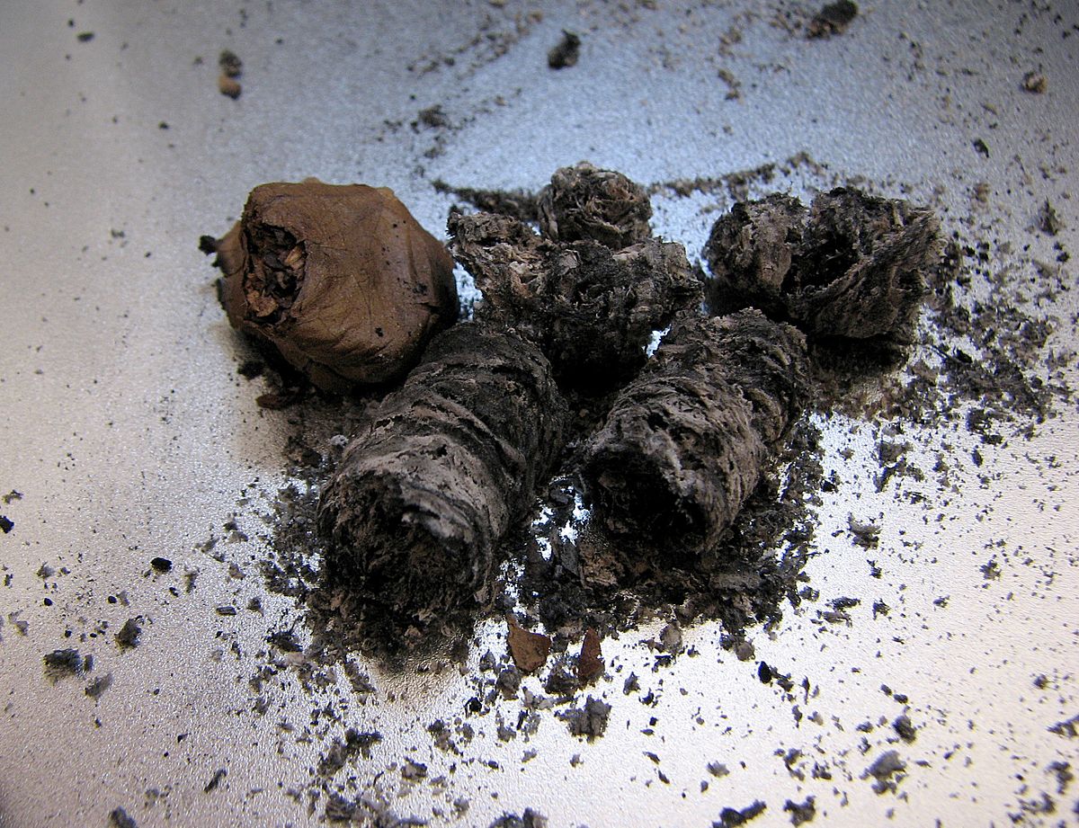 ashes image 0038