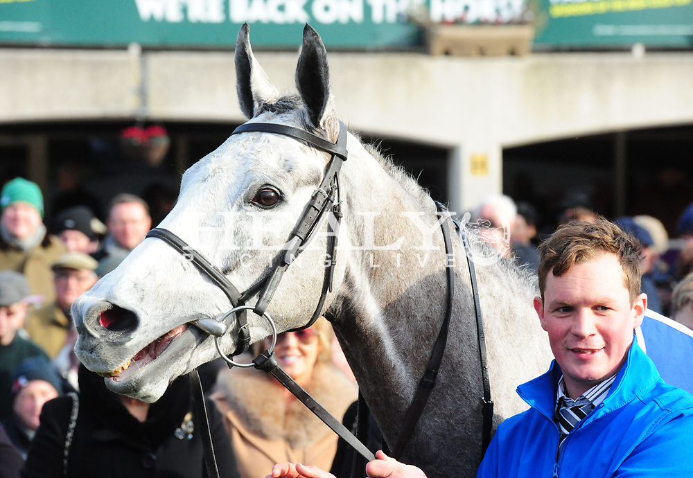 asterion horse 0030