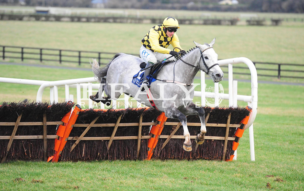asterion horse 0037