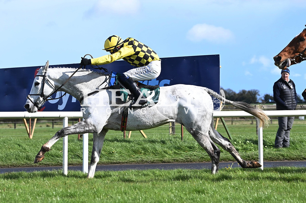 asterion horse 0039