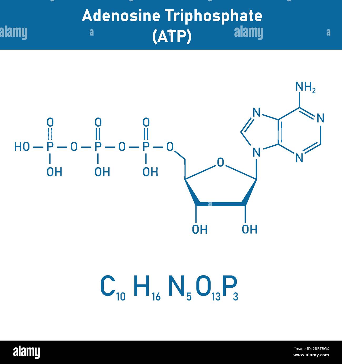 atp image 0029