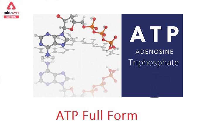 atp image 0037