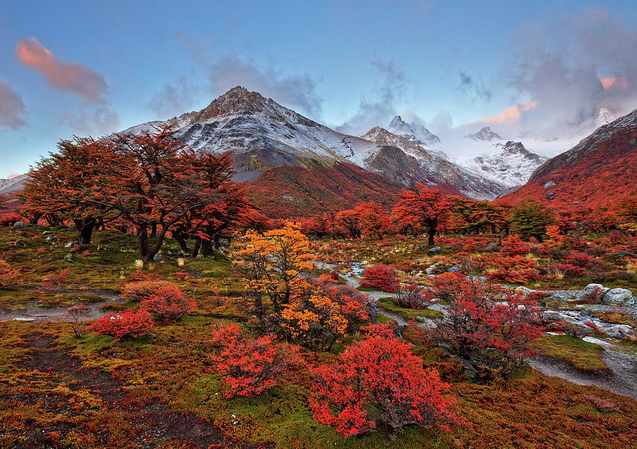 autumn in Buenos Aires