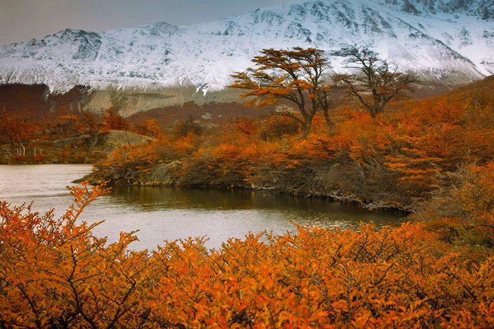 autumn wildlife in Argentina