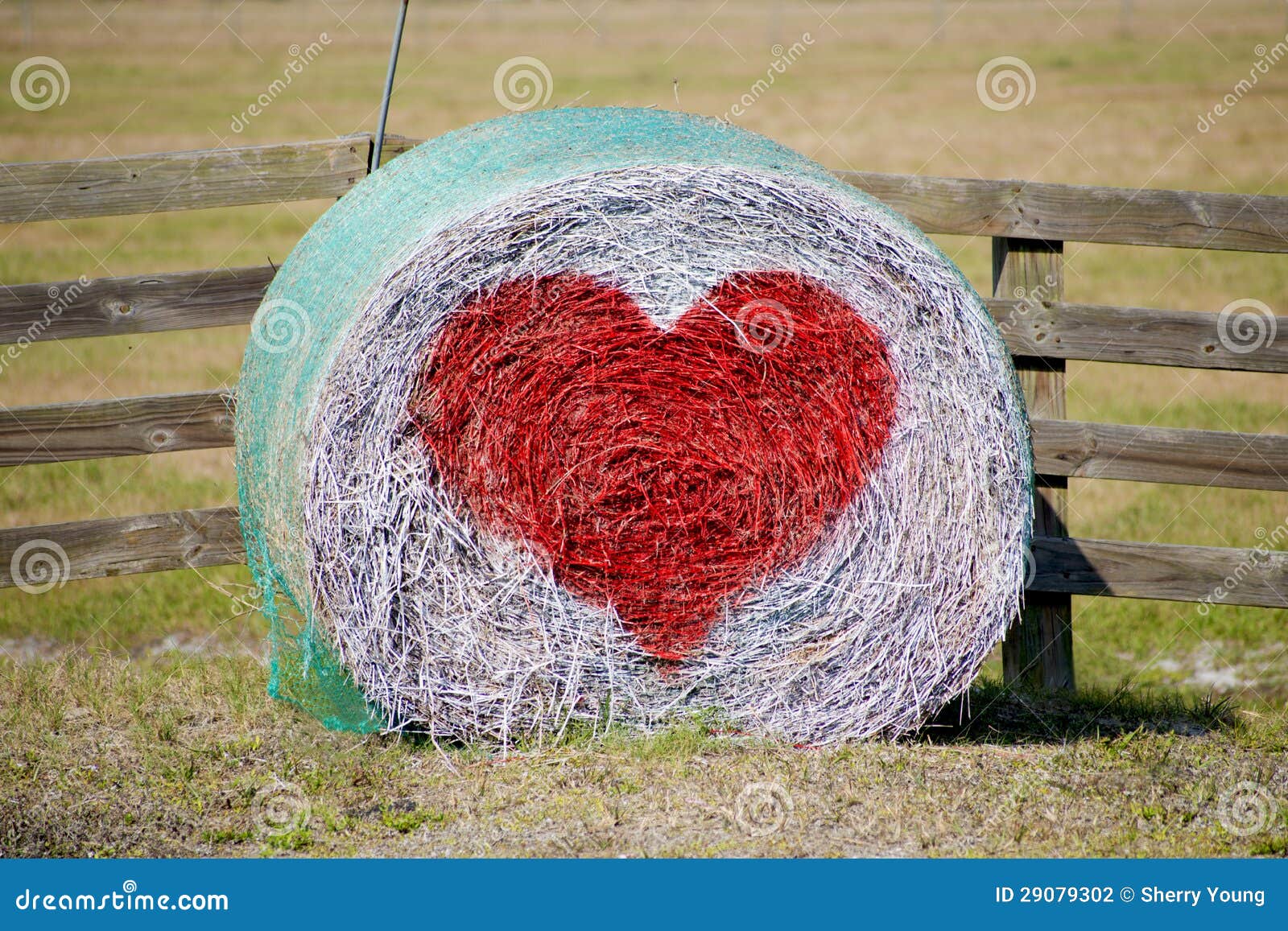 bale heart 0033