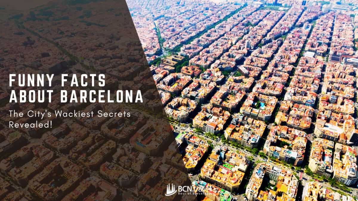 barcelona overhead 0010