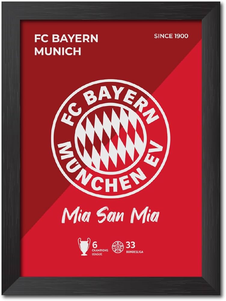Bayern Munich fan art