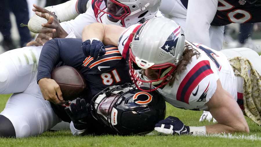 Bears defensive player profiles