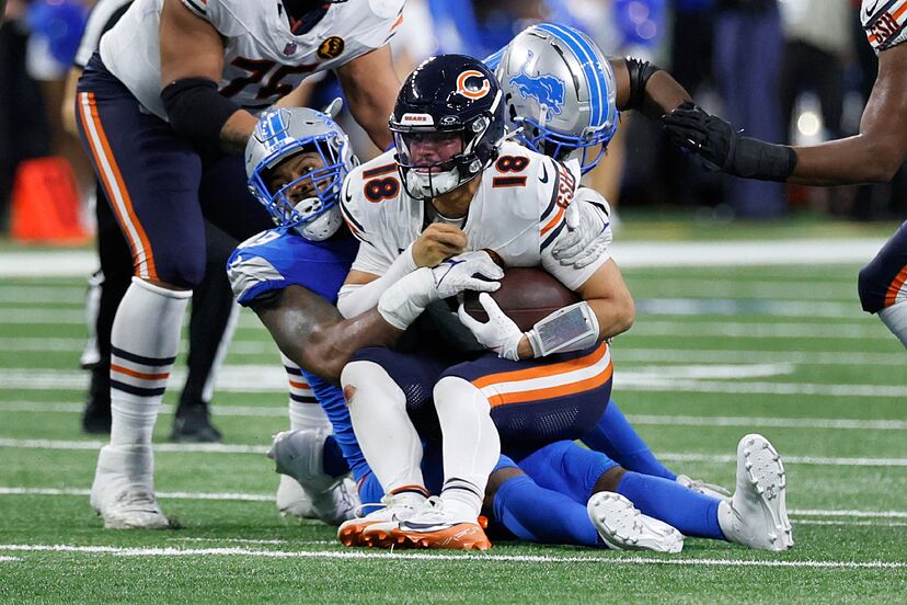 bears sacks 0015
