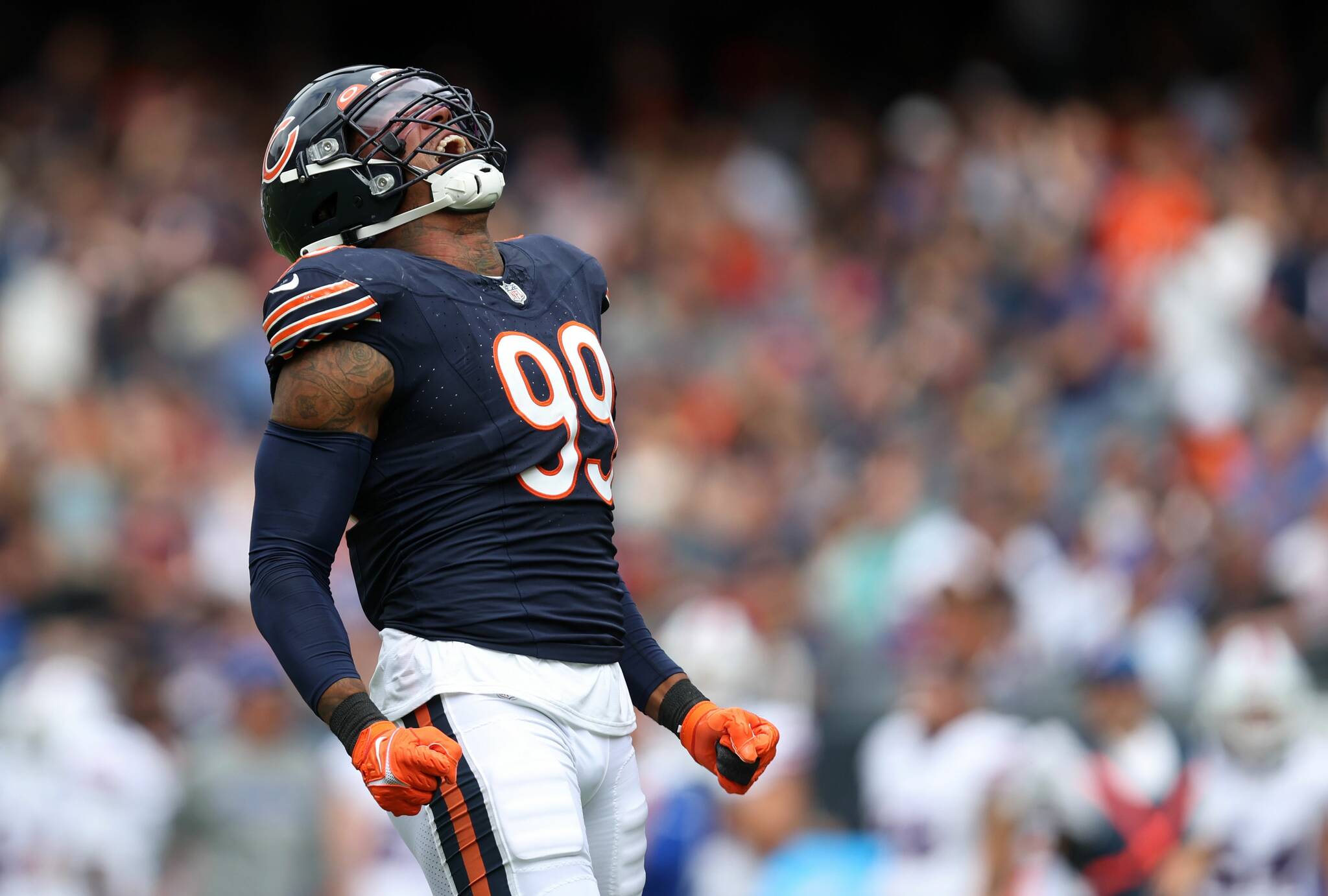 bears sacks 0025