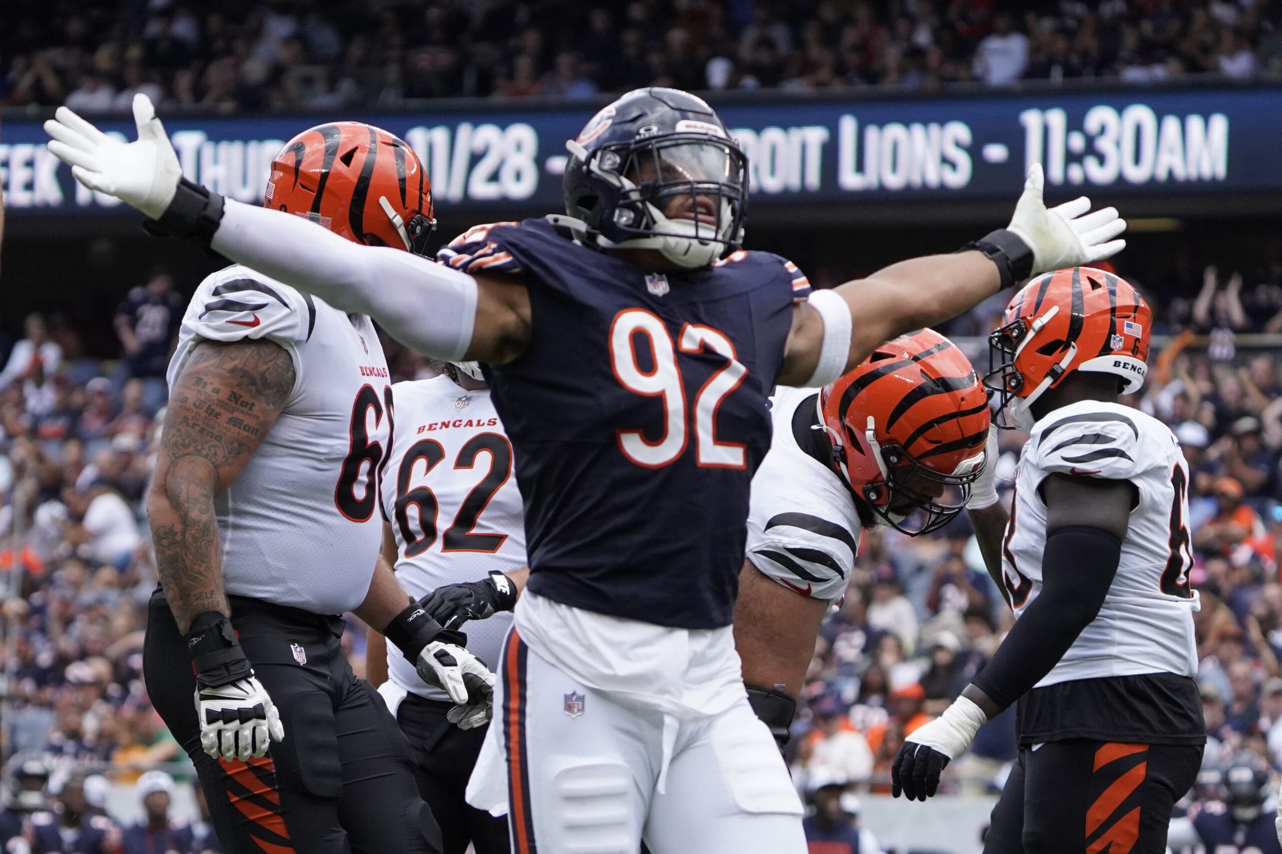 bears sacks 0027