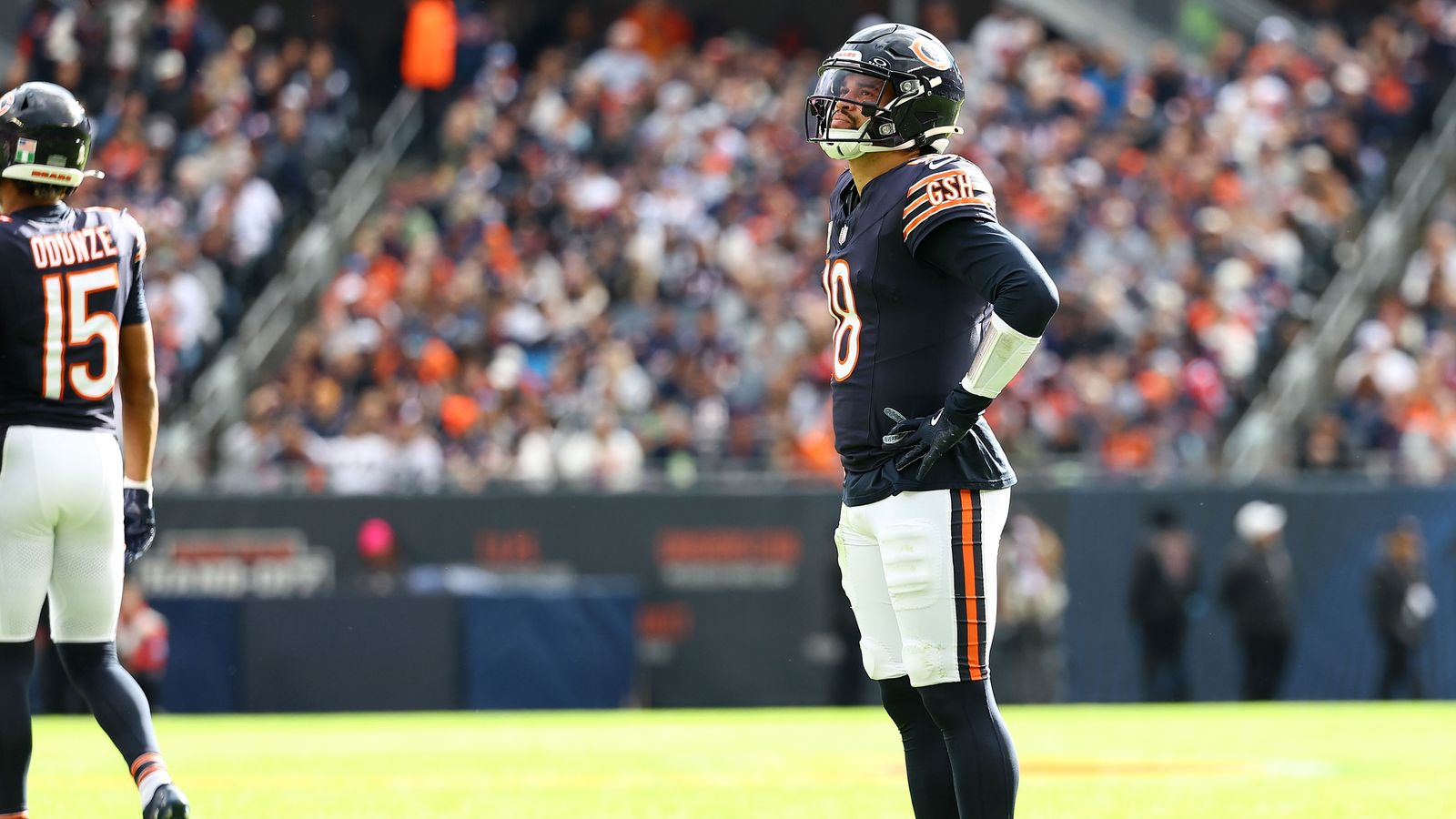 bears sacks 0028