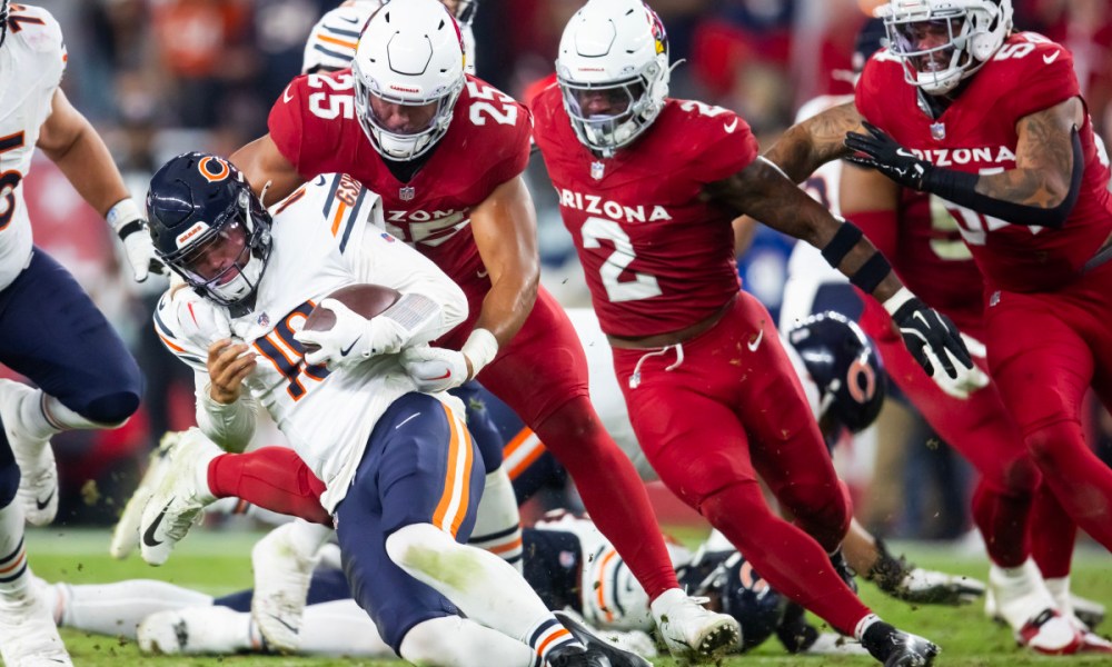 bears sacks 0038