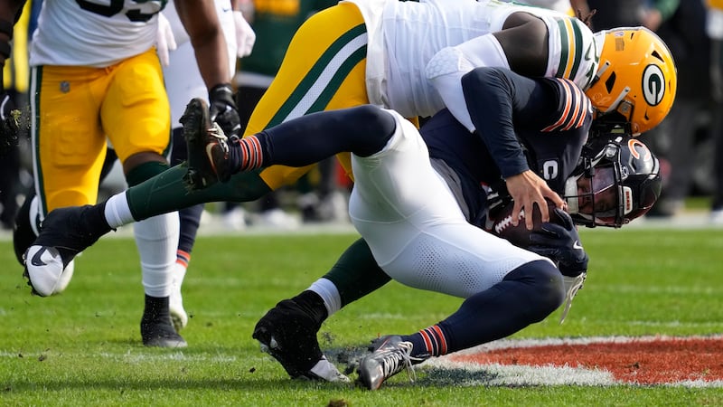 bears sacks 0049