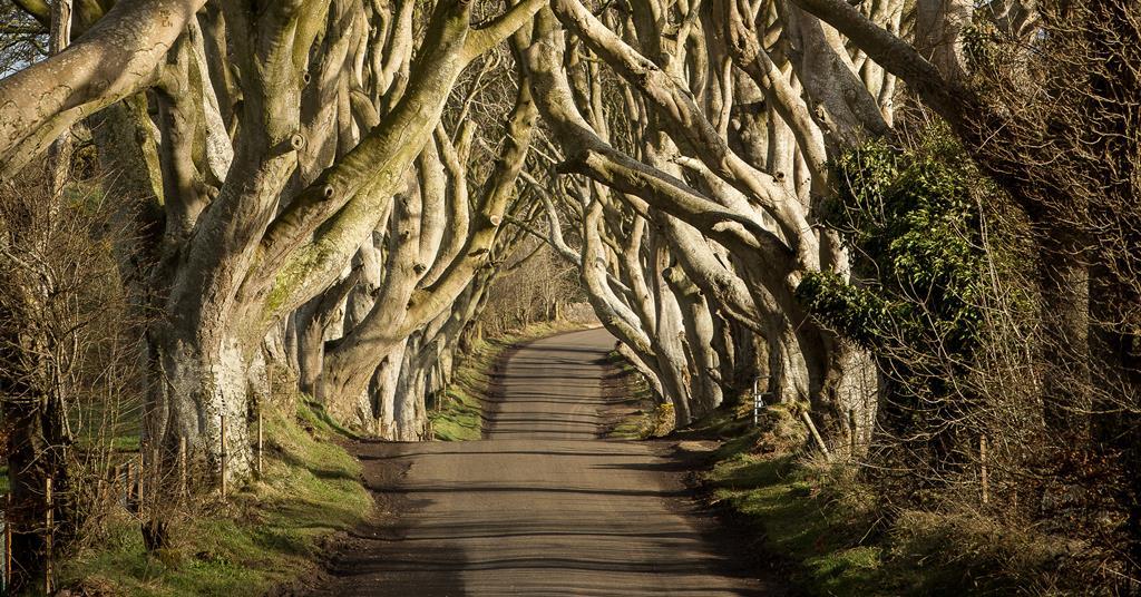 beautiful ireland pictures 0048