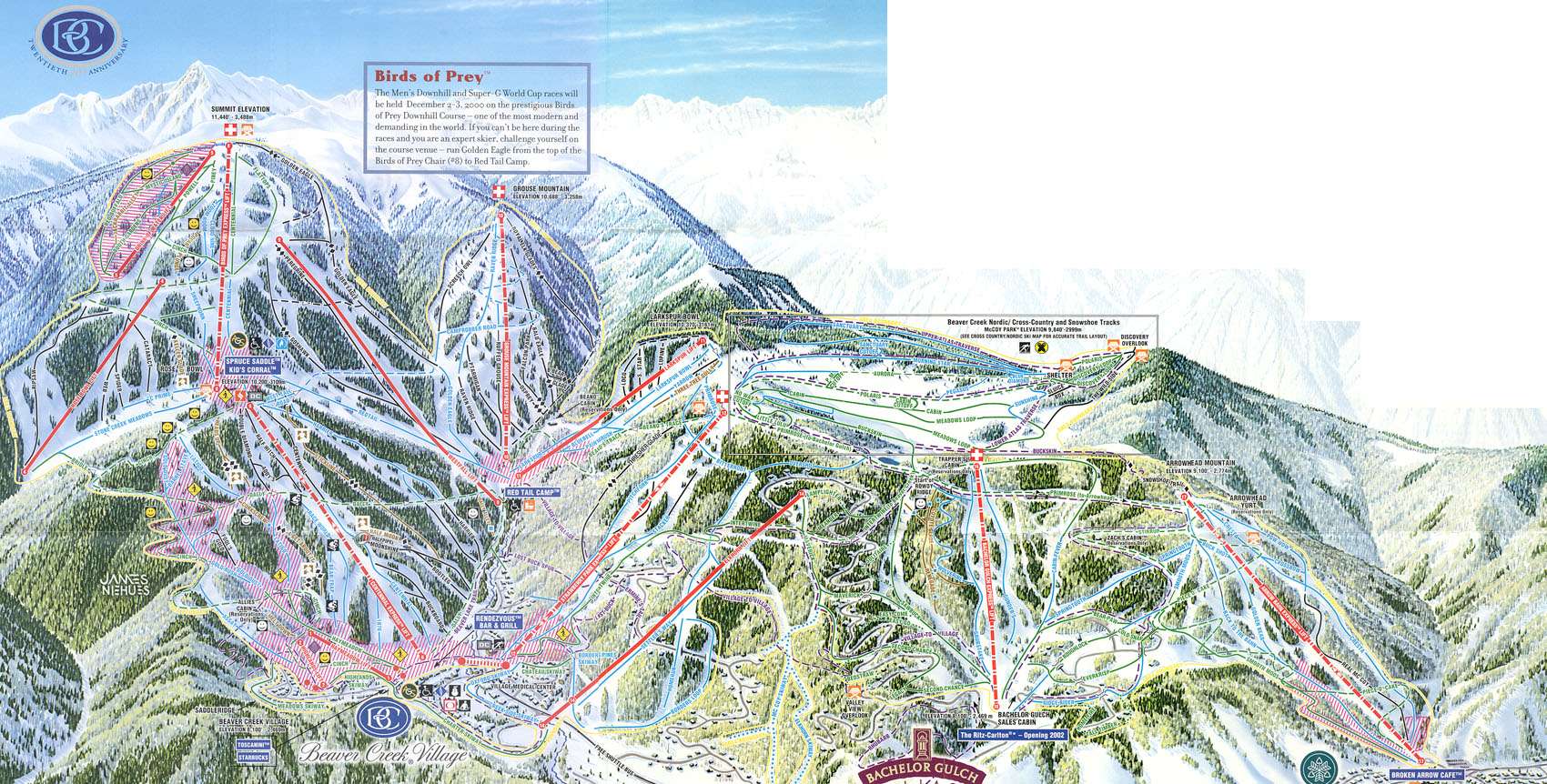 beaver creek downhill 0043