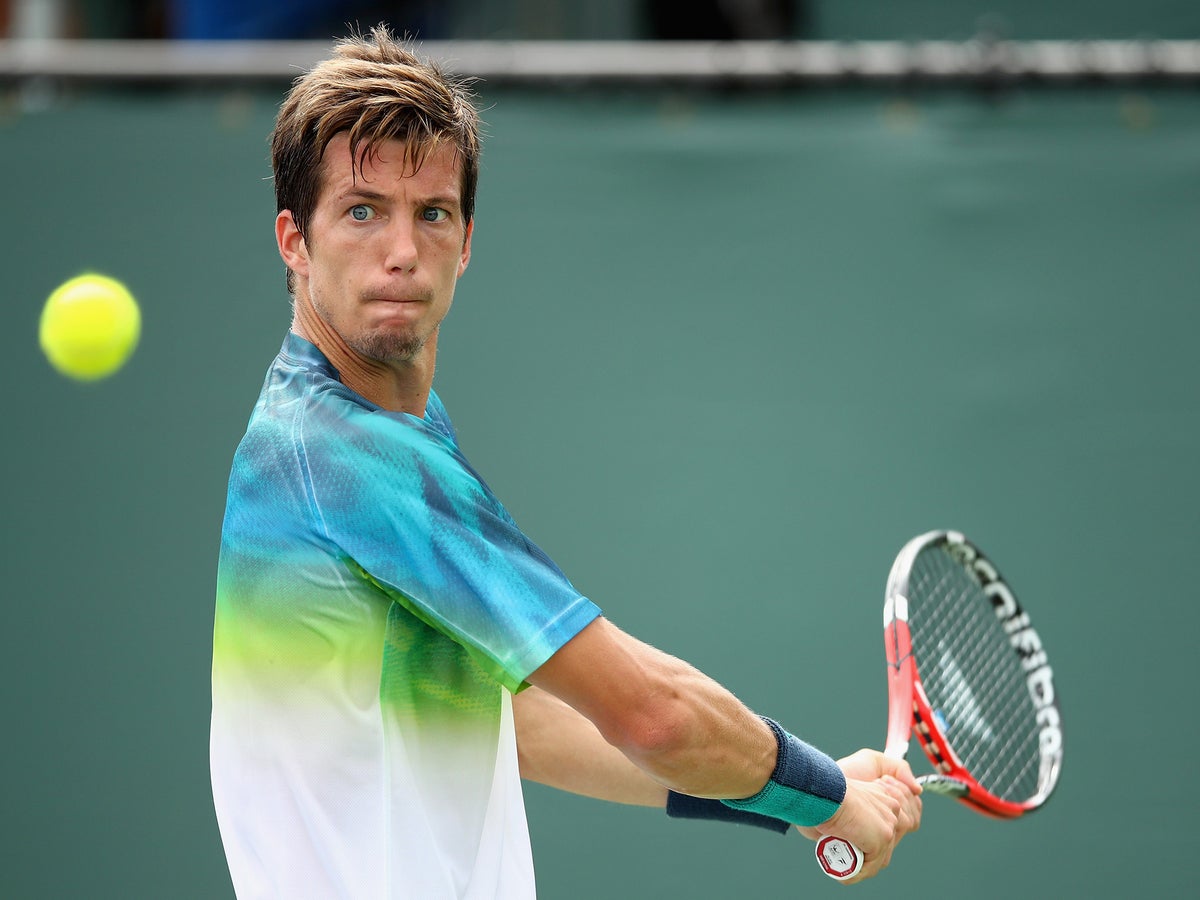Bedene player profile