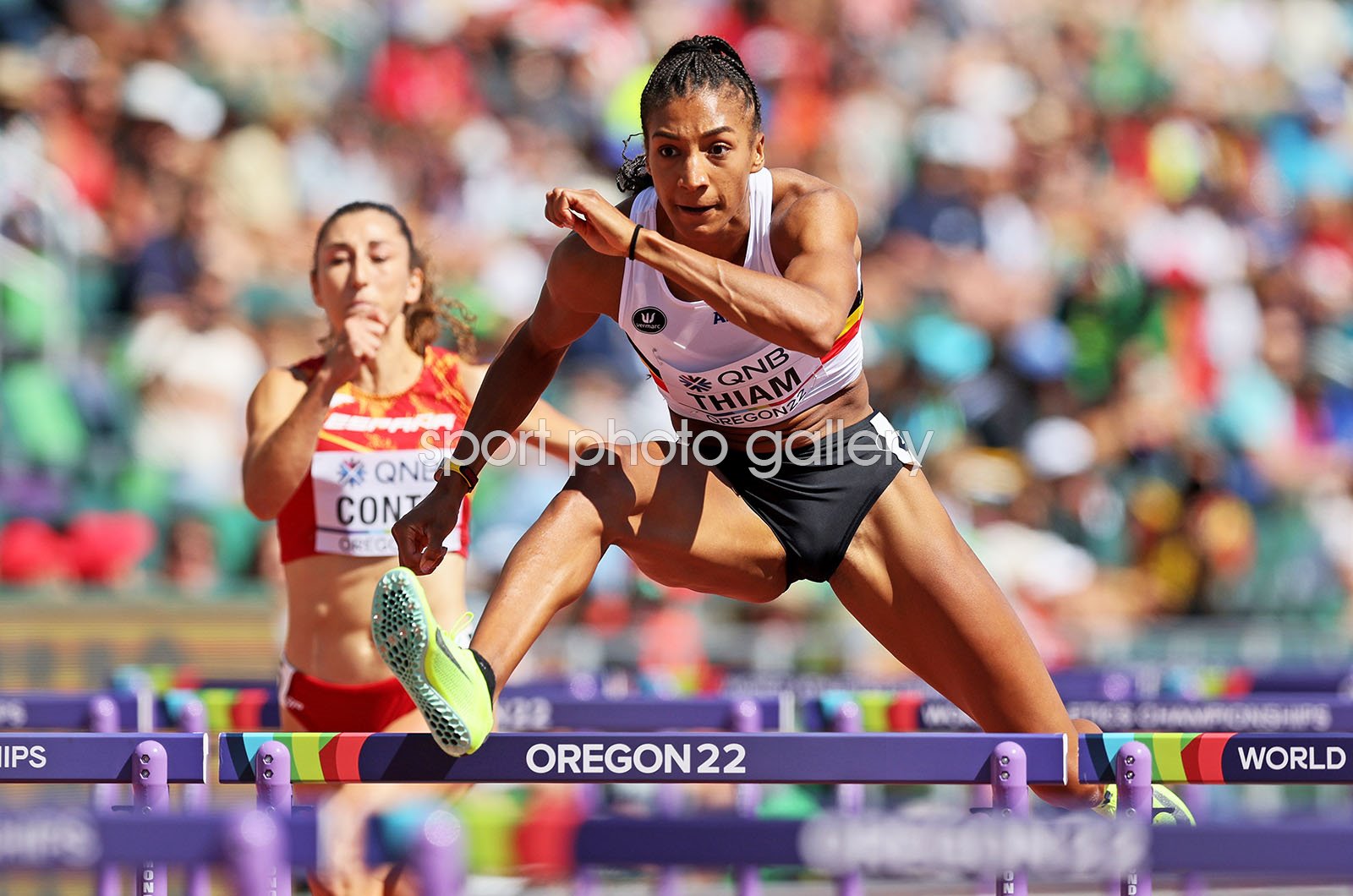 belgium hurdles 0010
