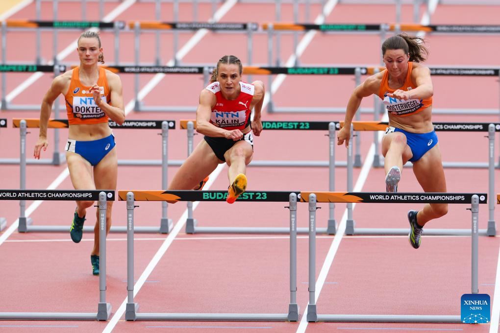 belgium hurdles 0017