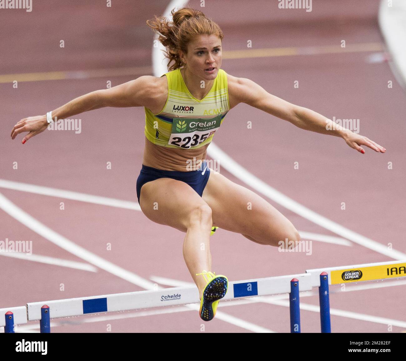 belgium hurdles 0029