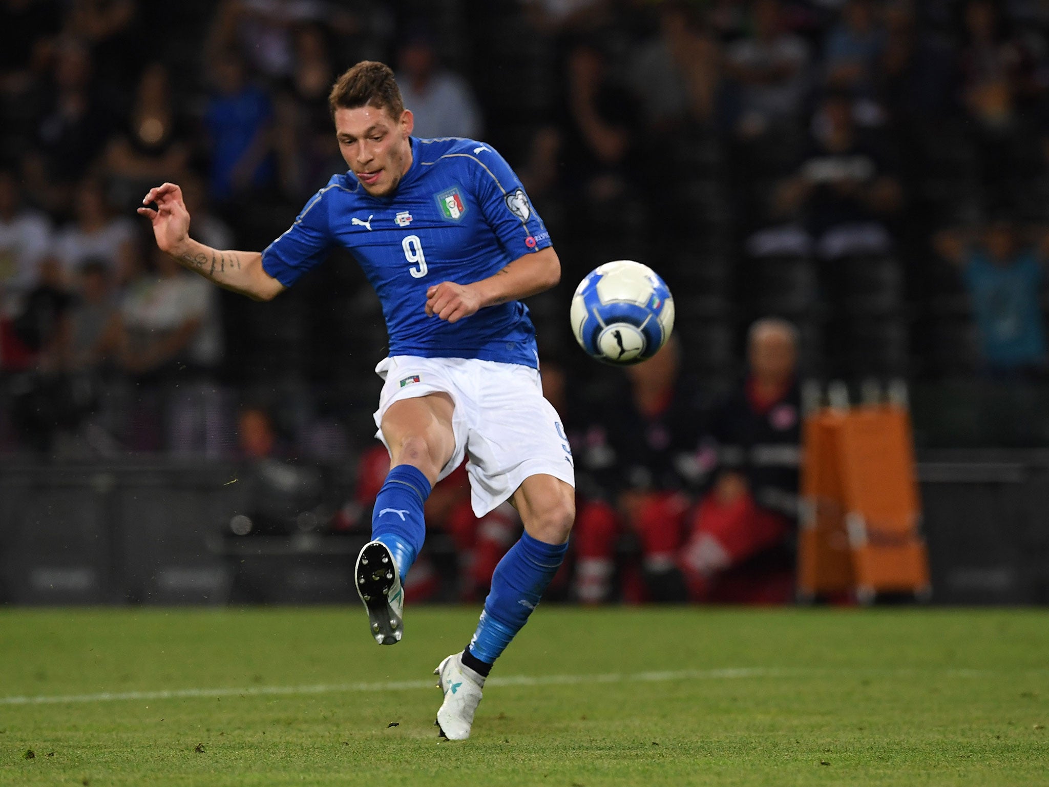 Belotti player stats