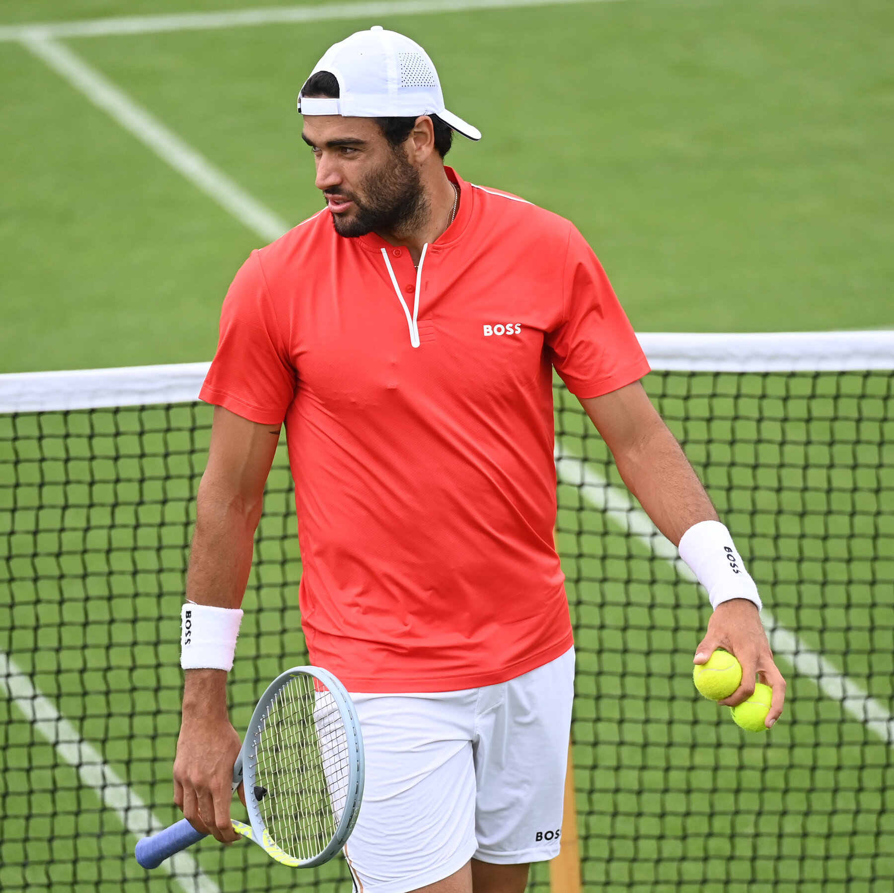Berrettini Wimbledon journey
