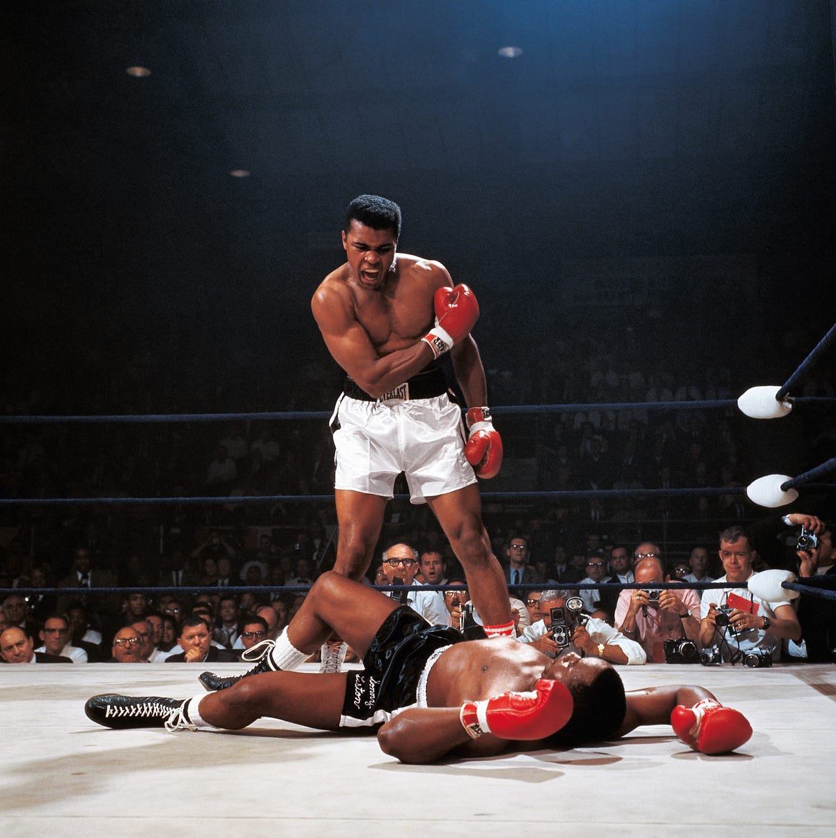 best boxers of all time