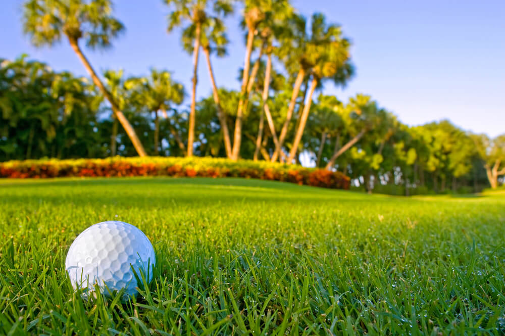 best golf course backgrounds 0033