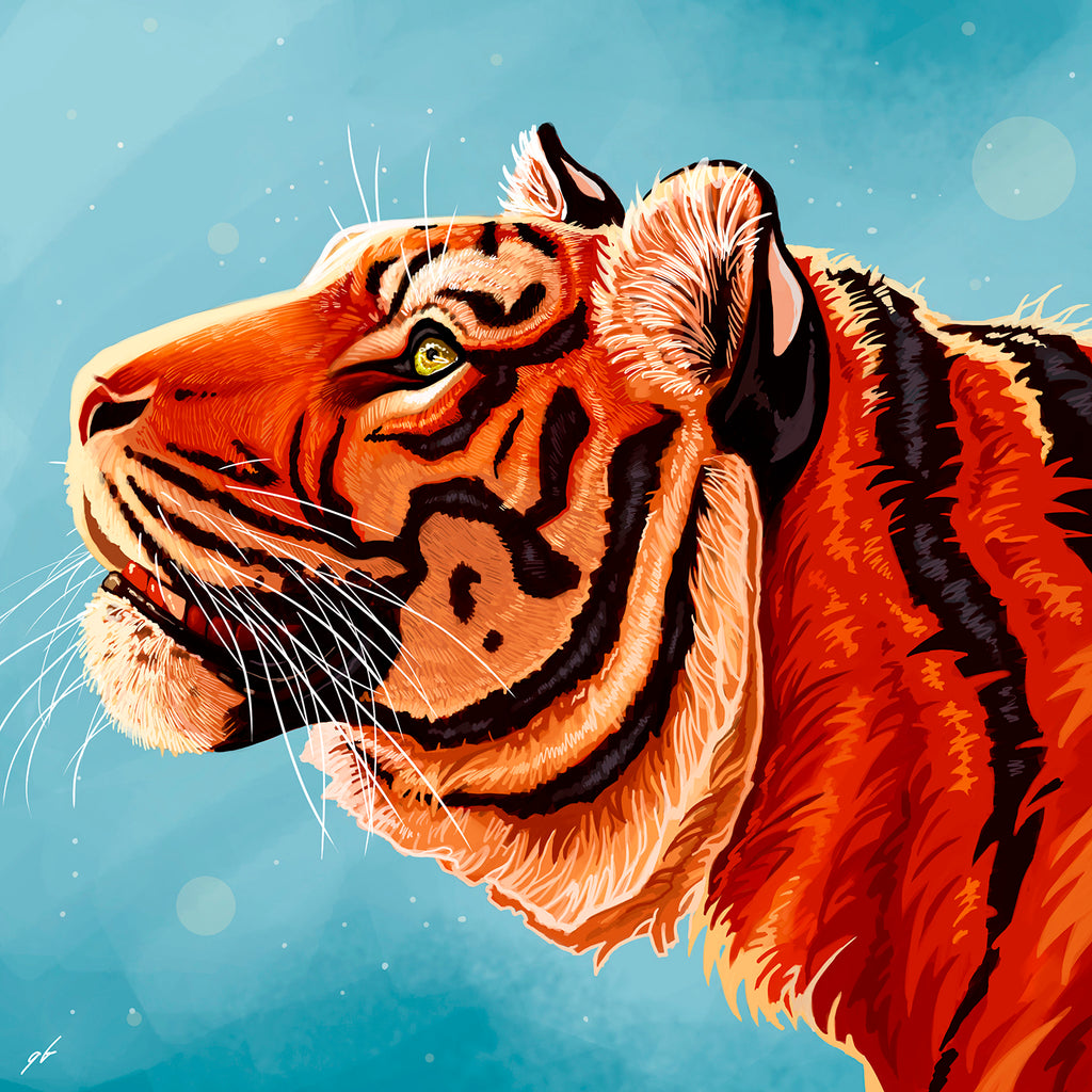 best tiger photos 0021