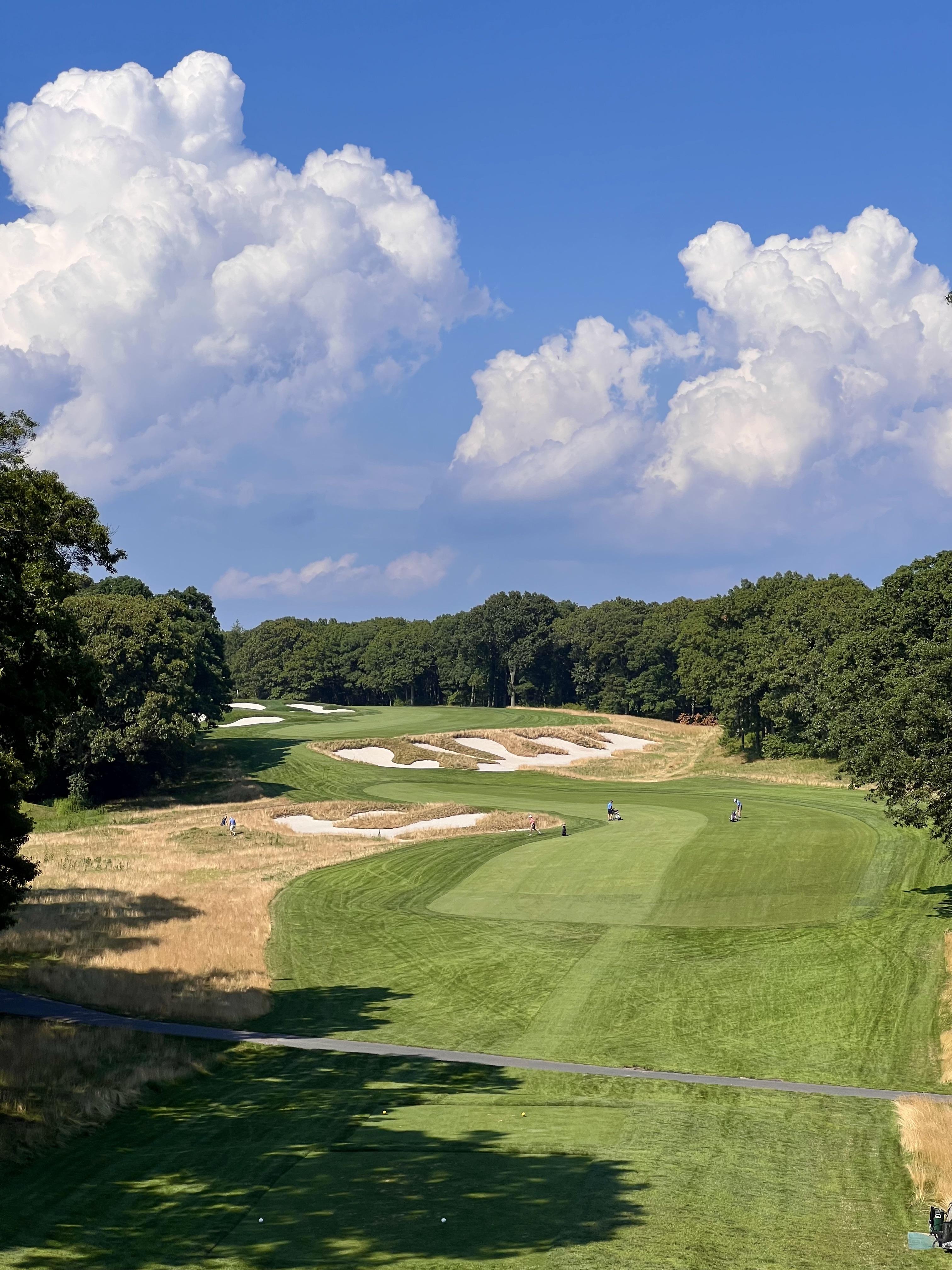 bethpage black warning sign 0034