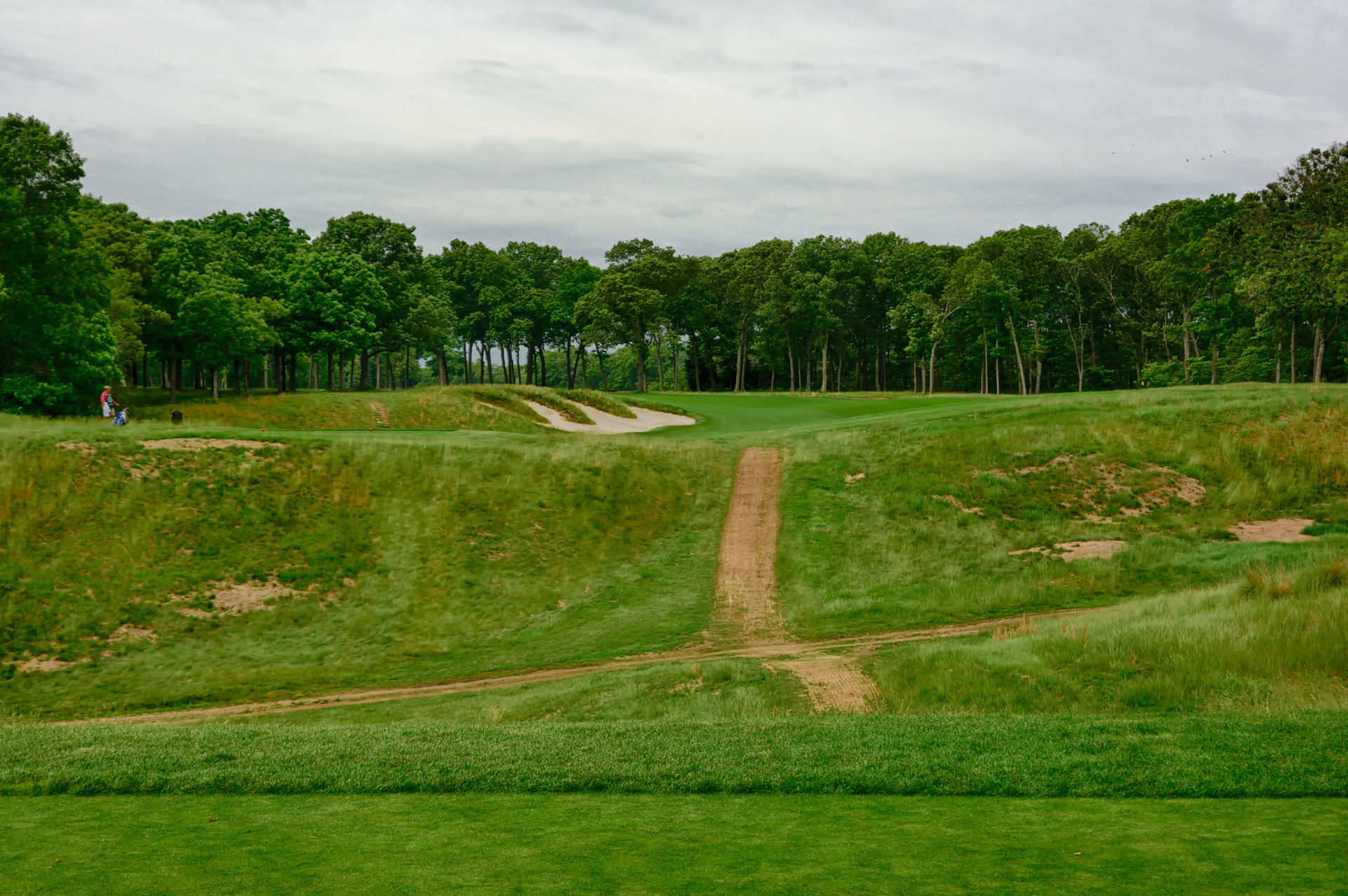 bethpage black warning sign 0045