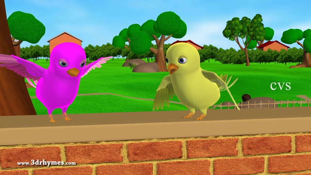 bird song identification