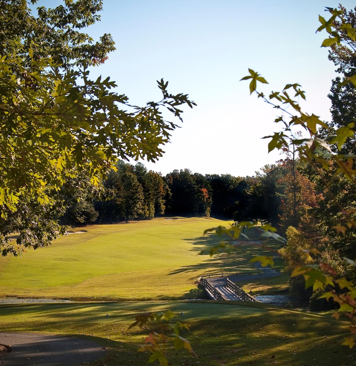 Birkdale Golf Club photos 0020