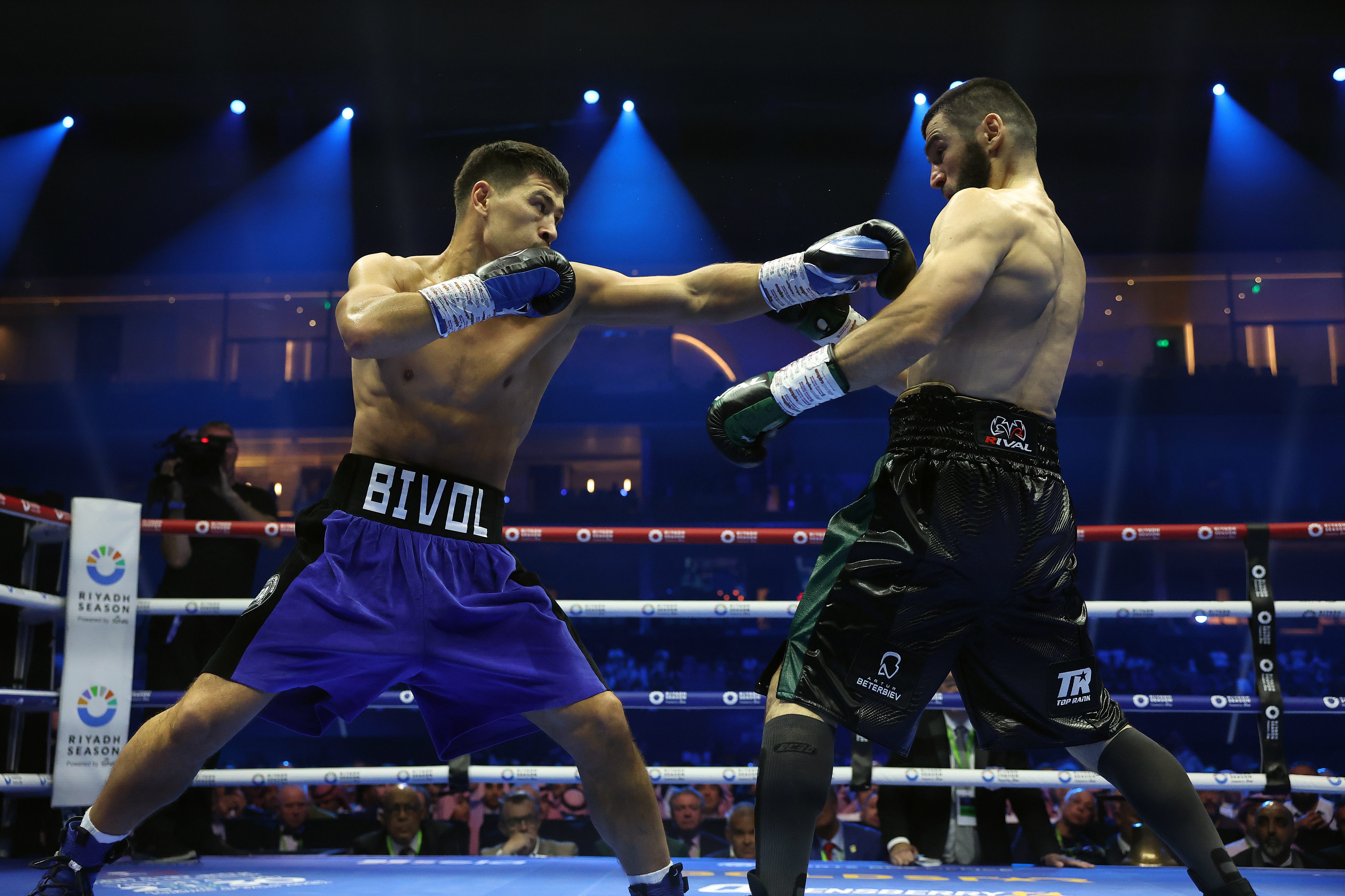 Bivol wallpaper collection.