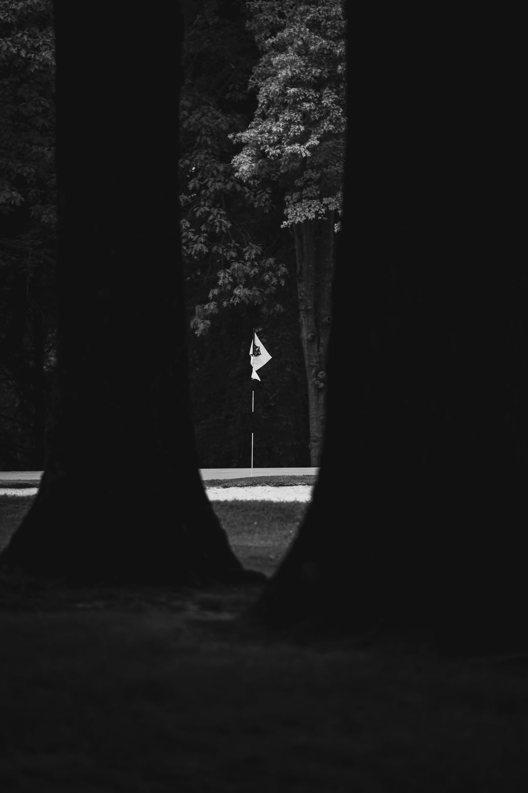 dark golf backgrounds 0016