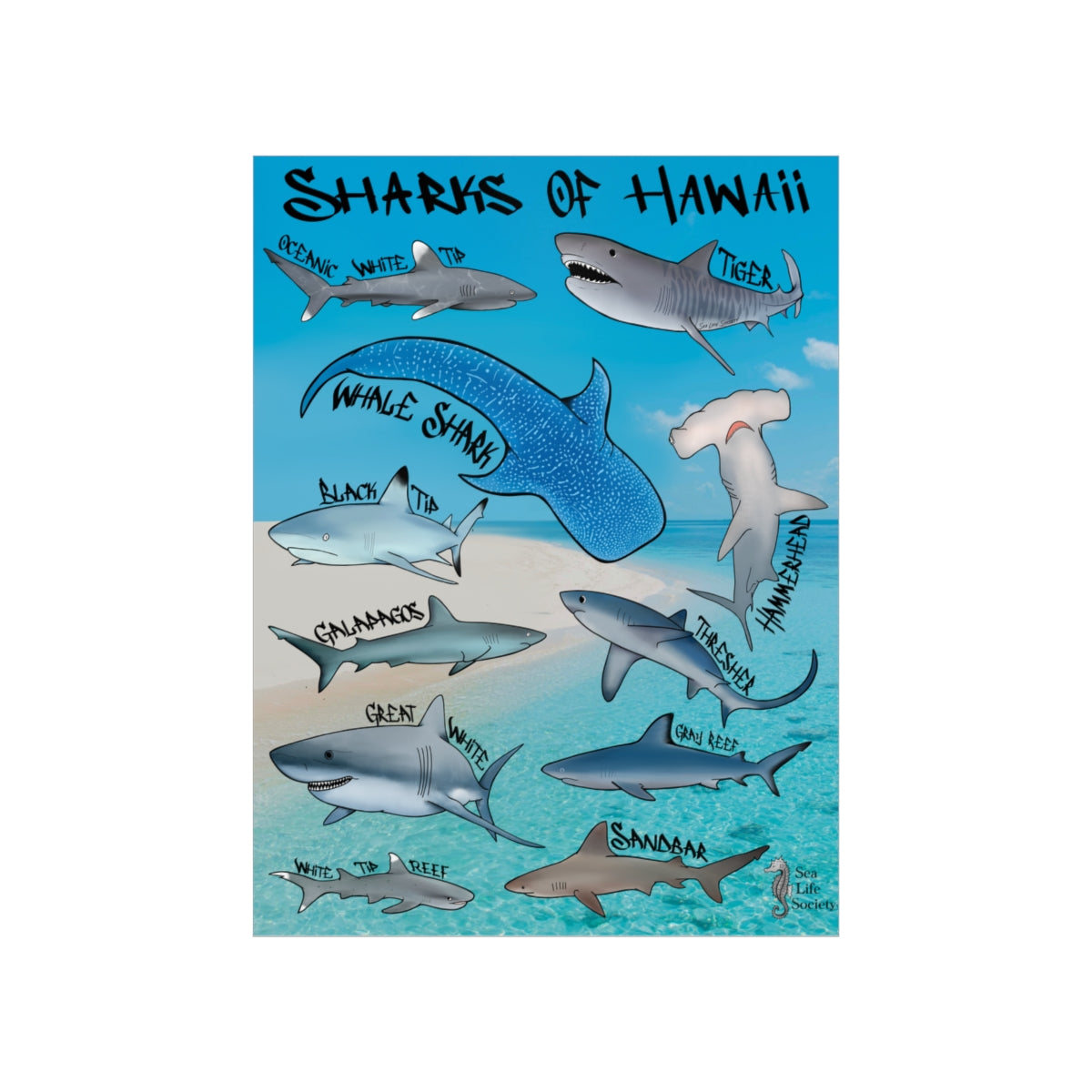 blue hawaii poster 0042